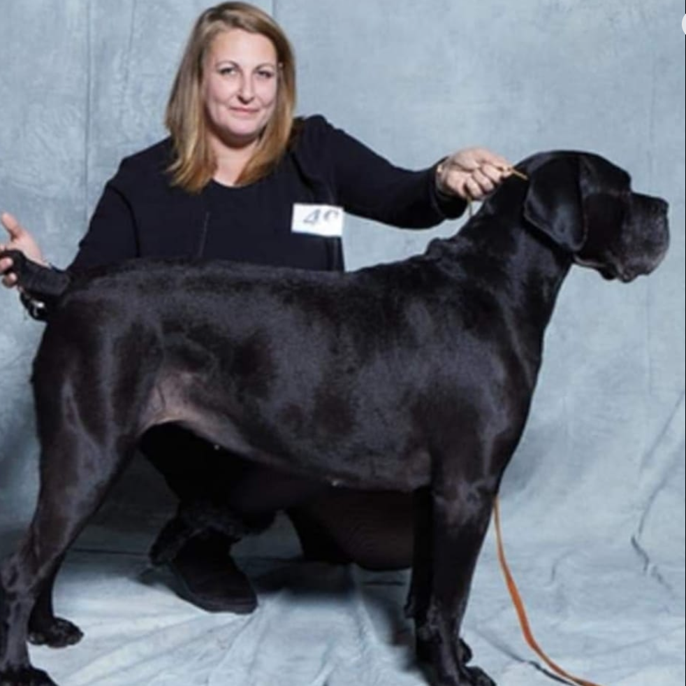 Gurvana Del Castello Di Vyper