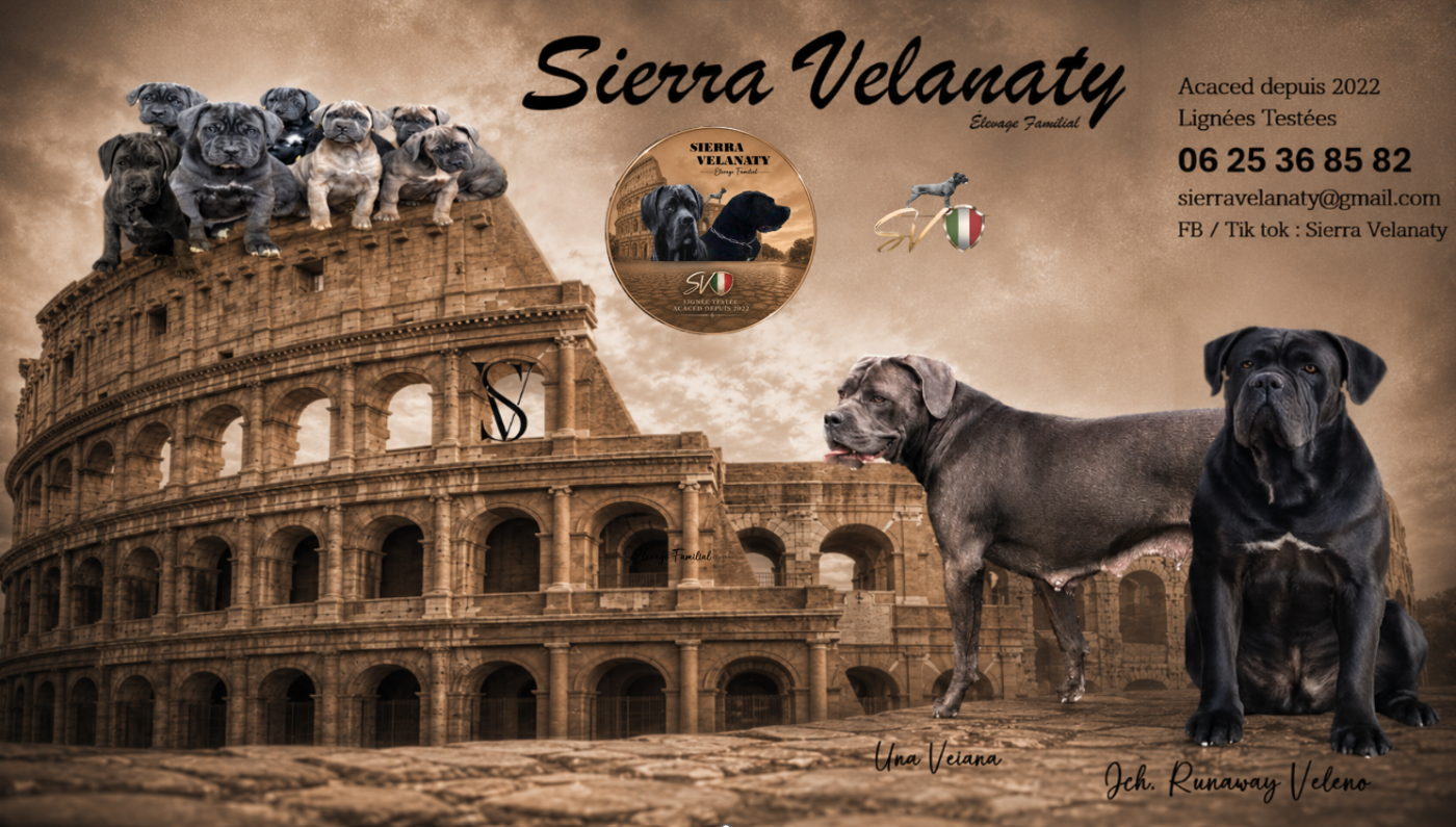 Sierra Velanaty