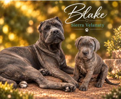 blake